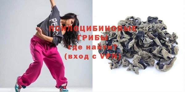 амф Новокубанск