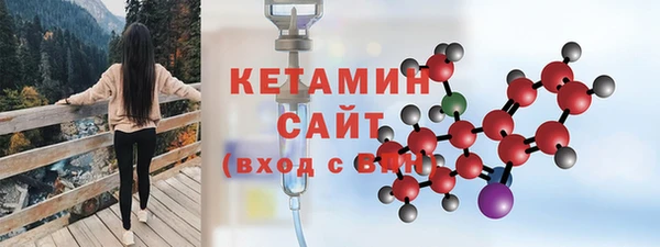 хмурый Новозыбков