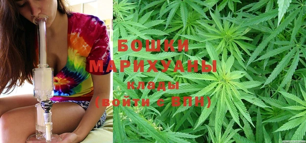 хмурый Новозыбков