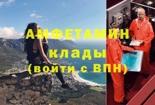 амф Новокубанск