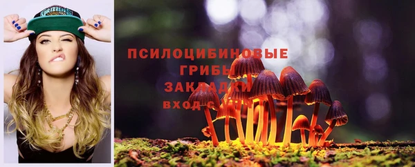 амф Новокубанск