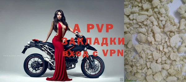 амф Новокубанск