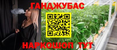 прущие грибы Камышлов