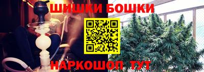 тгк Канаш