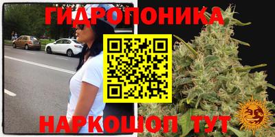дурь Кандалакша