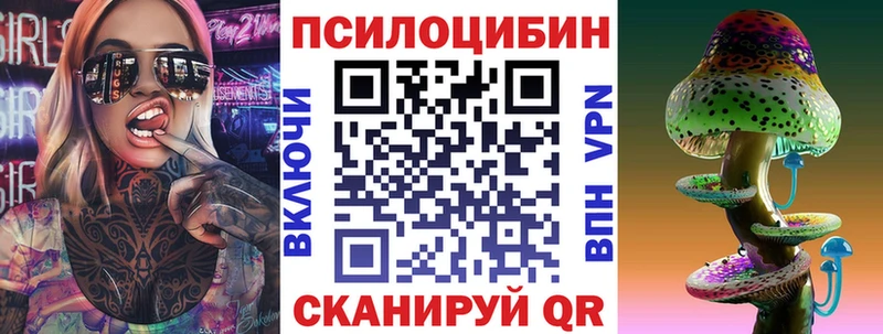 Псилоцибиновые грибы MAGIC MUSHROOMS  блэк спрут как войти  Краснознаменск 