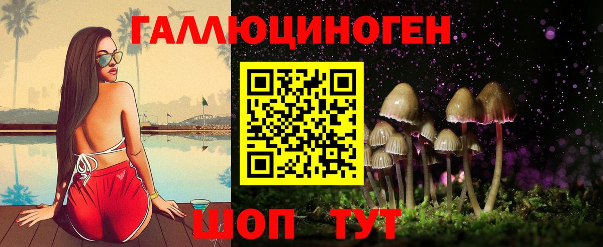 продажа наркотиков  Краснознаменск  Псилоцибиновые грибы MAGIC MUSHROOMS 