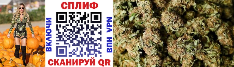 Канабис SATIVA & INDICA  мориарти Telegram  Краснознаменск  где купить наркоту 